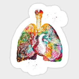 Lungs and Heart Sticker